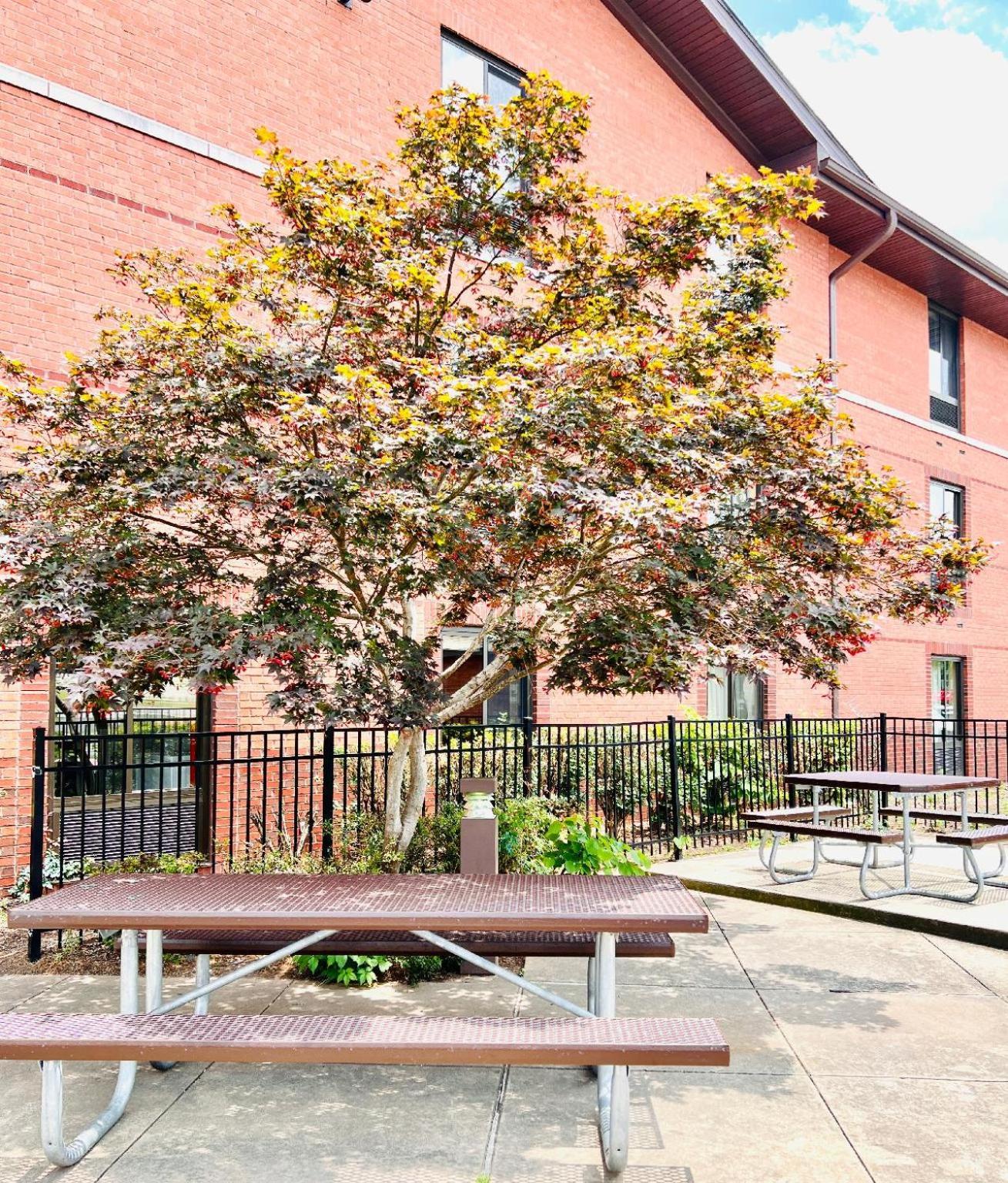 Mainstay Suites Little Rock West Near Medical Centers Екстериор снимка